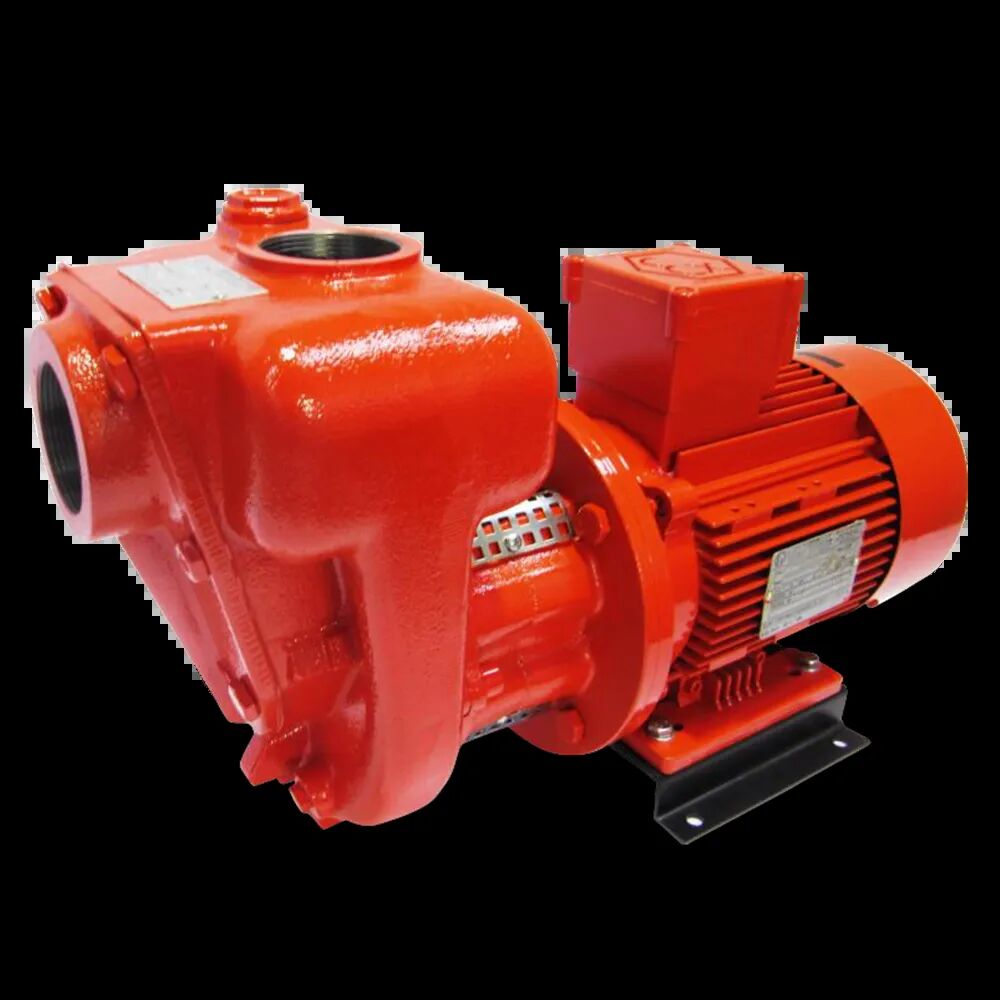 CG-400 Atex Насос для бензину/кероснину 400л/хв 220В
