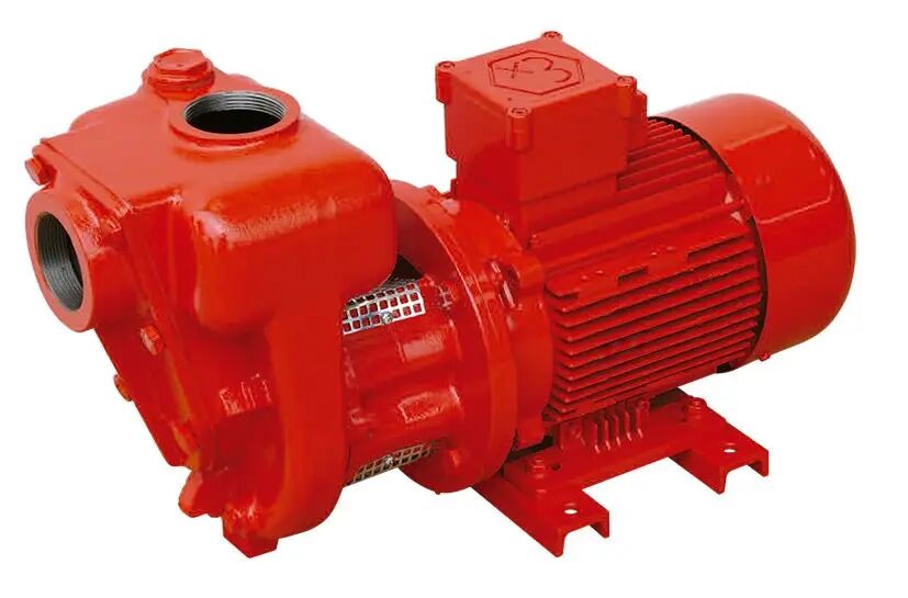 CG-900 Atex Насос для бензину/керосину 900л/хв 220В Іспанія